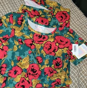 NWT LuLaRoe Carly Dress
